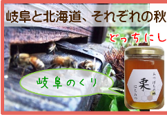 ½©¤Î¤ª¥¹¥¹¥á¤Ï´ôÉ츩»º¤Î¥¯¥ê˪̪¡ª